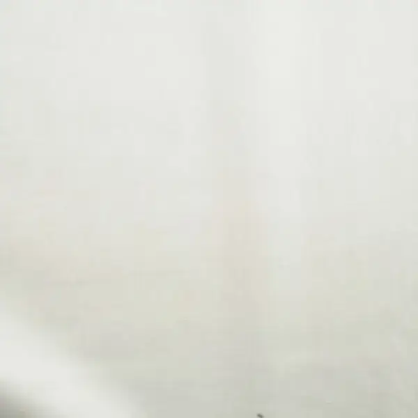 Voile De Coton Uni Ecru